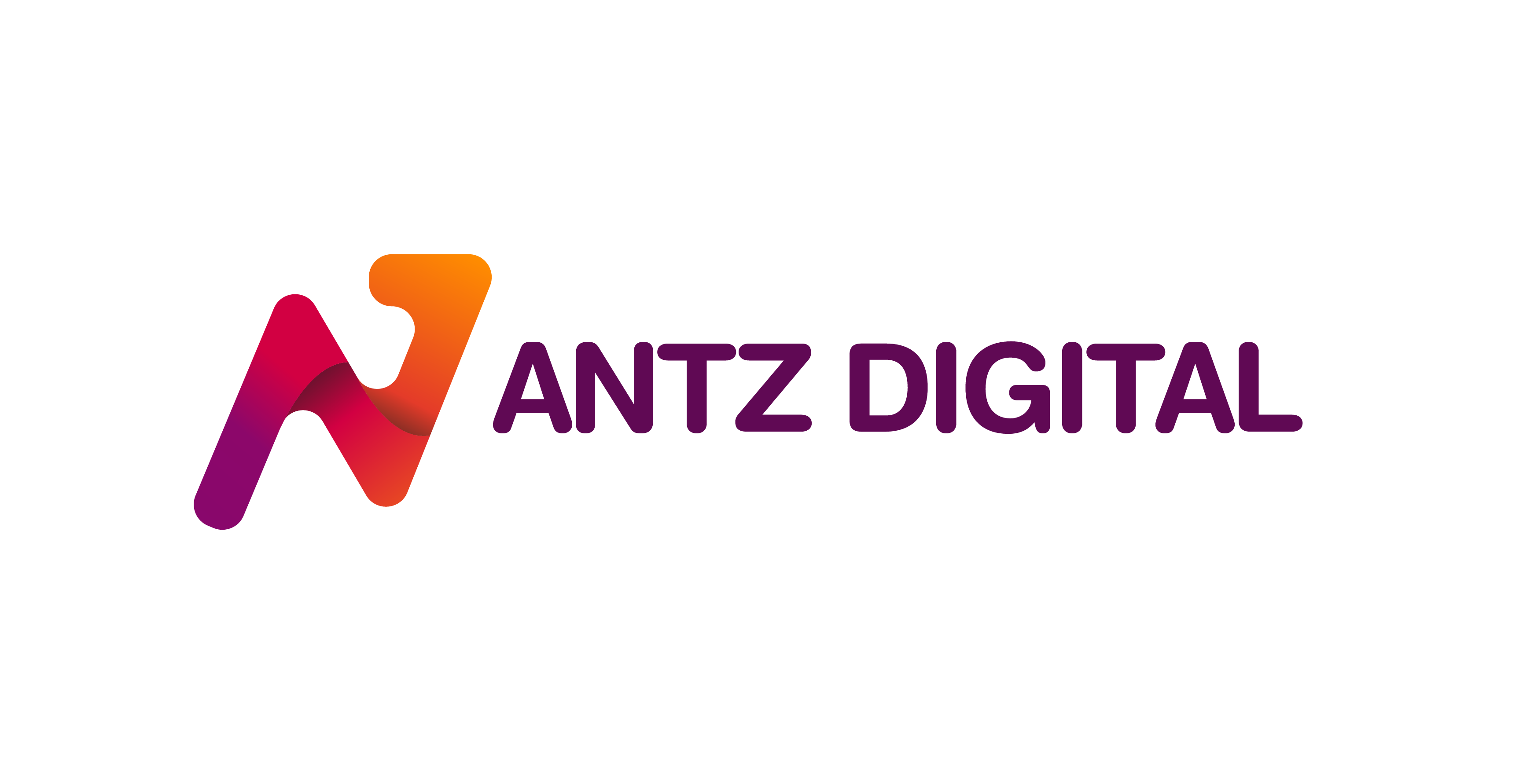 Agency SEO Terbaik - Antz Digital